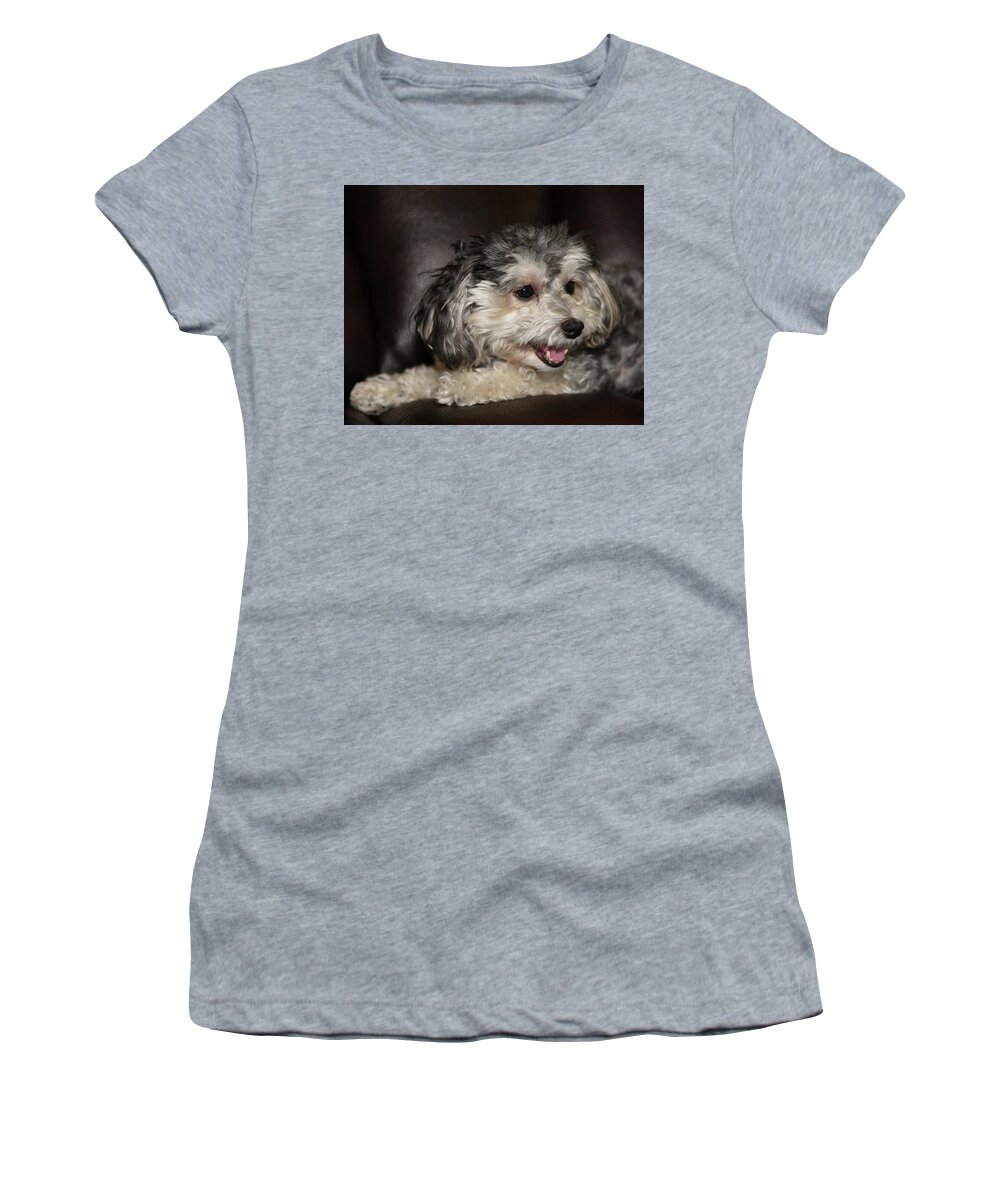 Puppy Women's T-Shirt featuring the photograph Maltipoo Profile by Artful Imagery