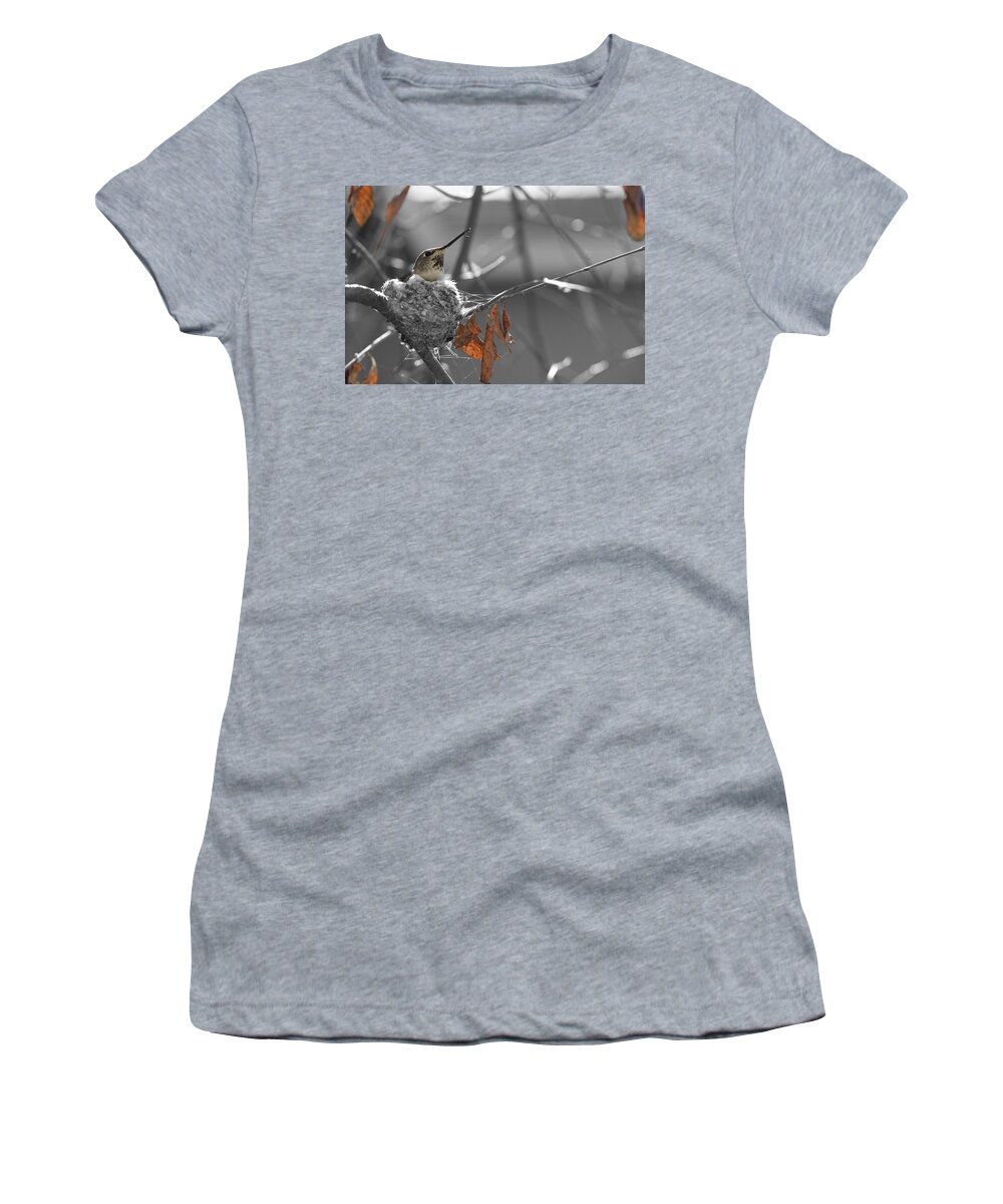 Nature Women's T-Shirt featuring the photograph Mama Hummingbird by Spencer Hughes
