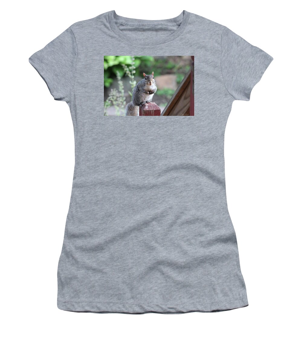 Squirrels Women's T-Shirt featuring the photograph Mama Squirrel by Trina Ansel