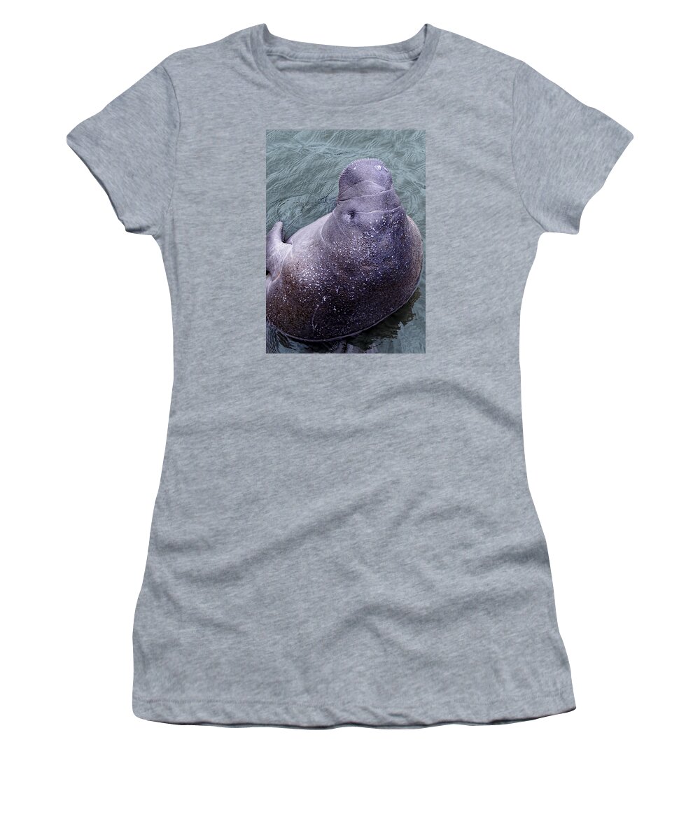 Florida Women's T-Shirt featuring the photograph Manatee Seen From Dock- Up close and Personal by Penny Lisowski