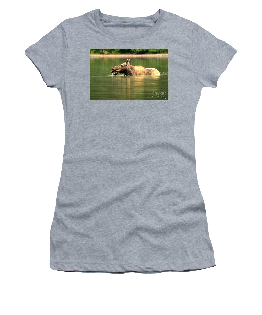  Women's T-Shirt featuring the photograph Many Glacier Moose 1 by Adam Jewell