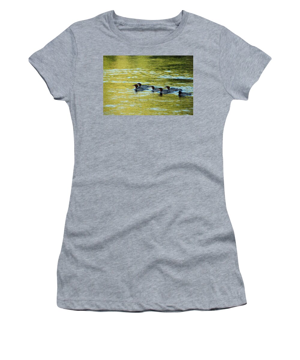 Duck Women's T-Shirt featuring the photograph March Of The Mergansers by Donna Blackhall