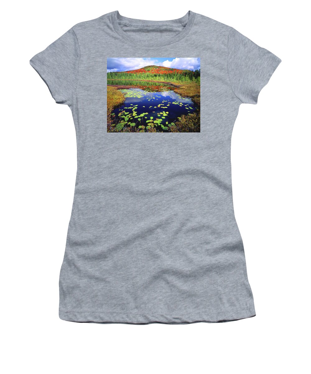 New York Women's T-Shirt featuring the photograph Marsh Pond by Frank Houck