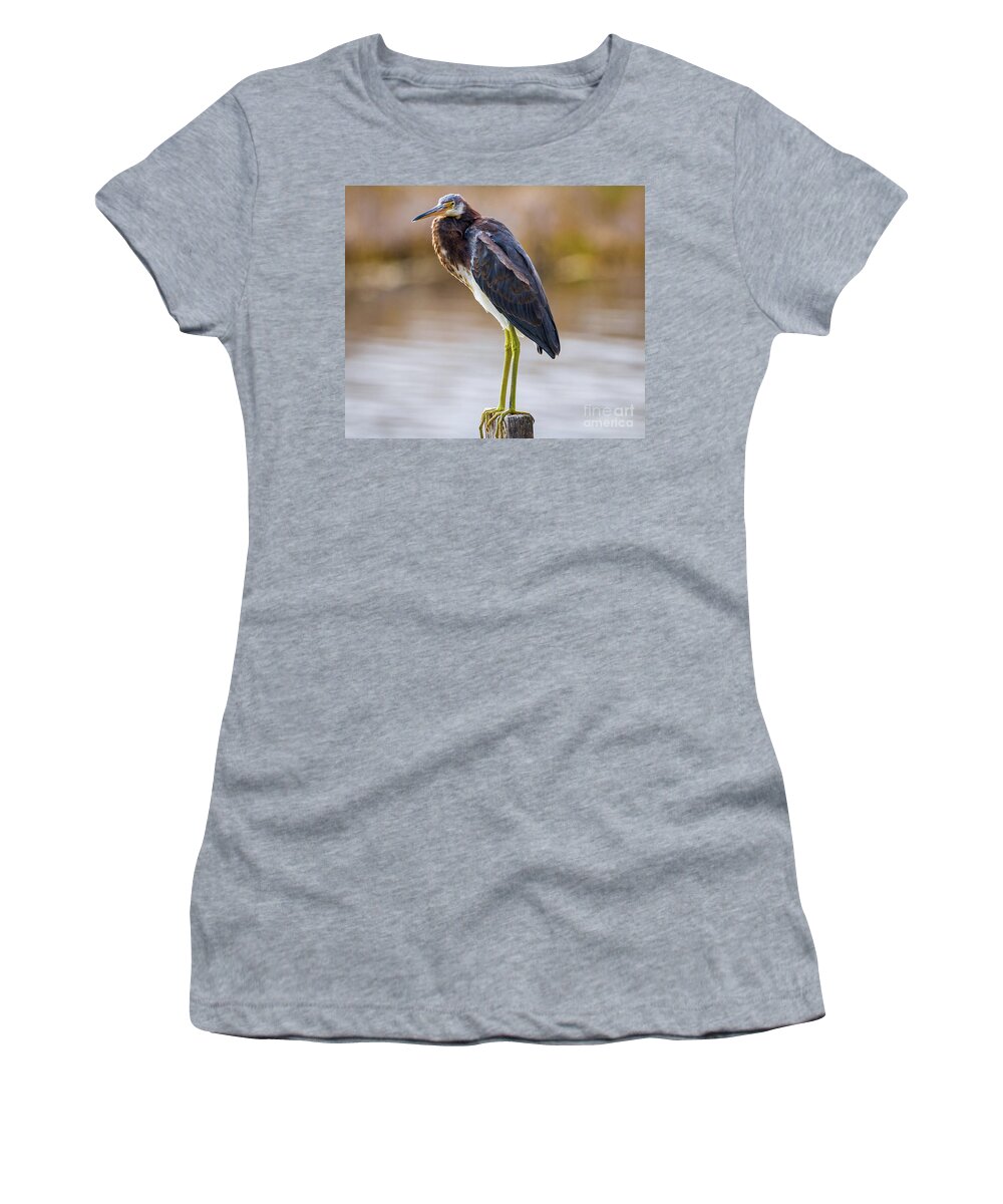 Nature Women's T-Shirt featuring the photograph Master Of The Post - Egretta Tricolor by DB Hayes