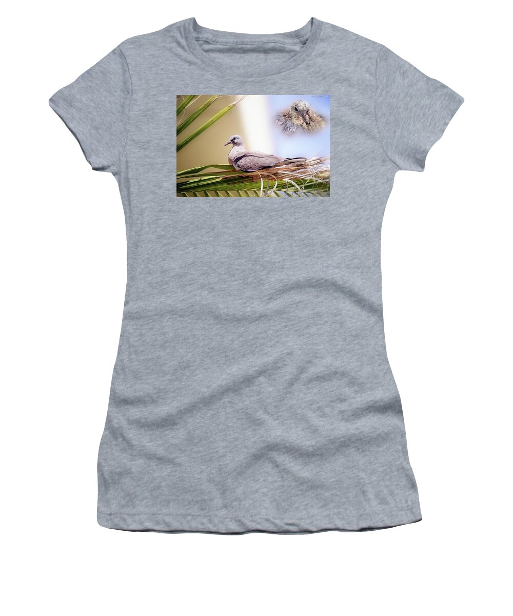 Dove Chicks Women's T-Shirt featuring the photograph Me all grown up 01 by Kevin Chippindall