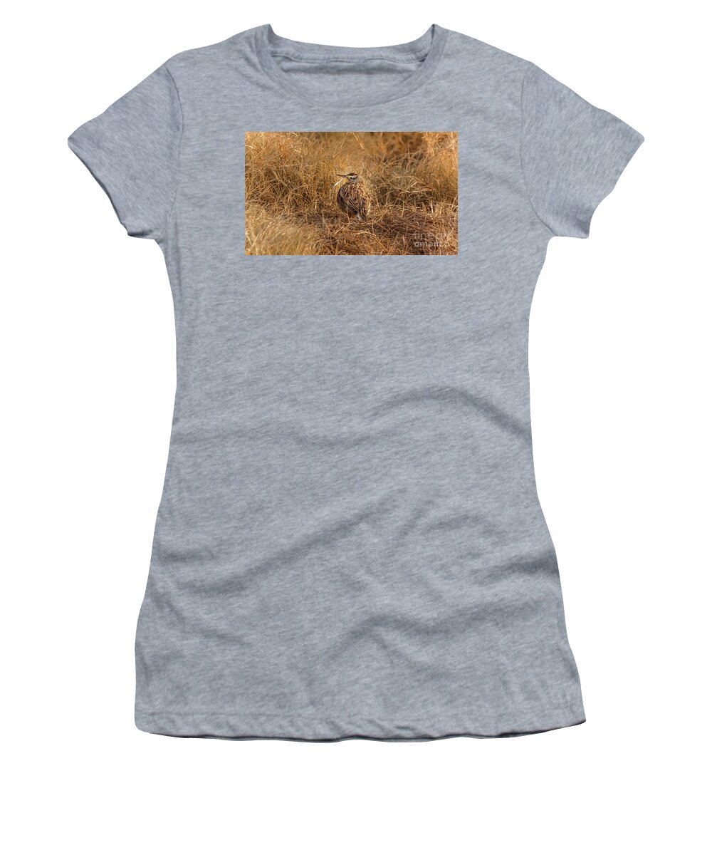 Animal Women's T-Shirt featuring the photograph Meadowlark Hiding In Grass by Robert Frederick
