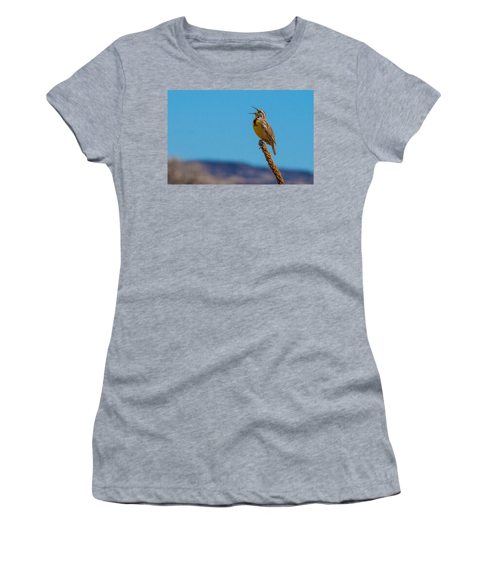 Meadowlark Women's T-Shirt featuring the photograph Meadowlark In Spring by Mindy Musick King