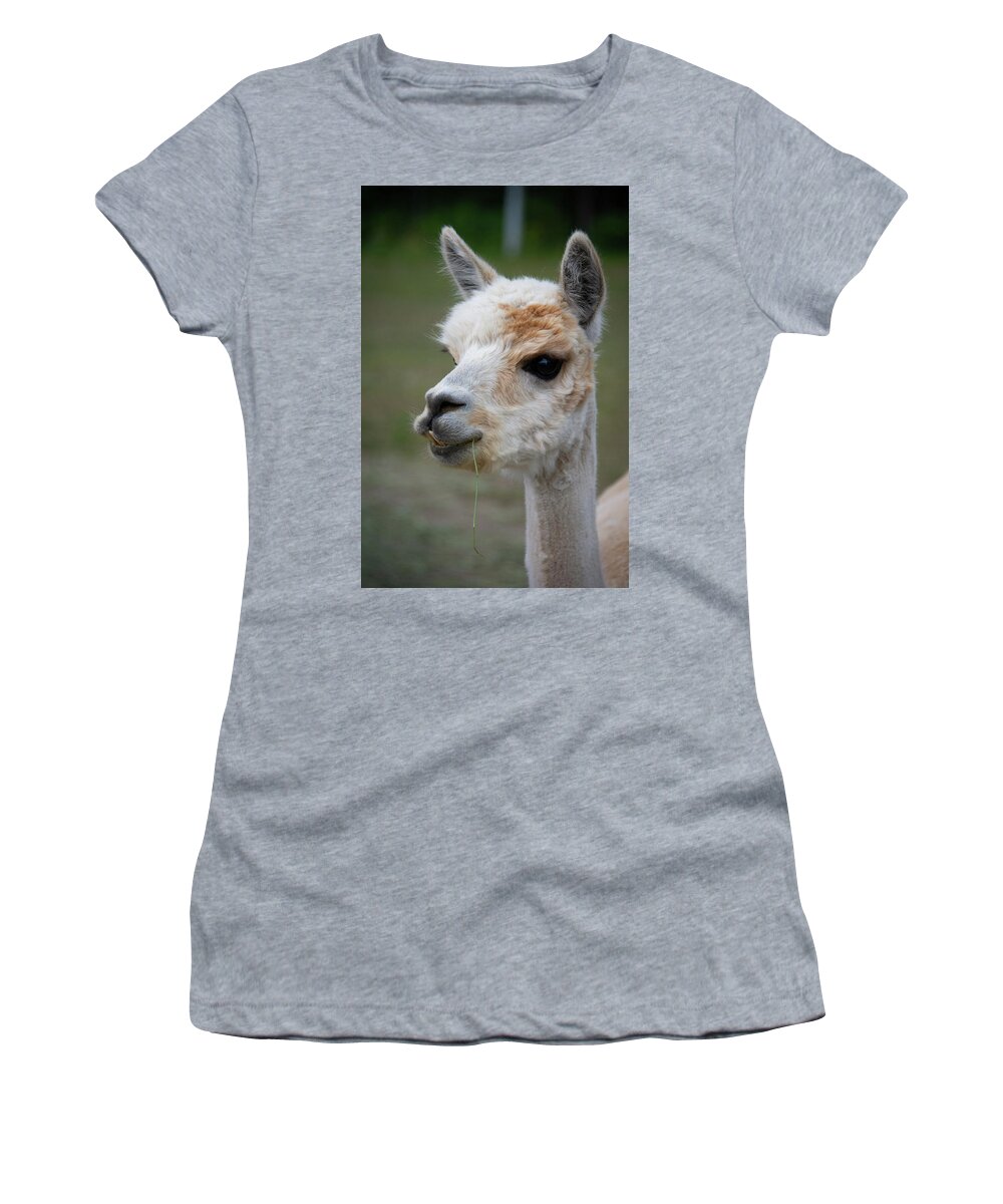 Maine Women's T-Shirt featuring the photograph Meet Al Paca by Guy Whiteley
