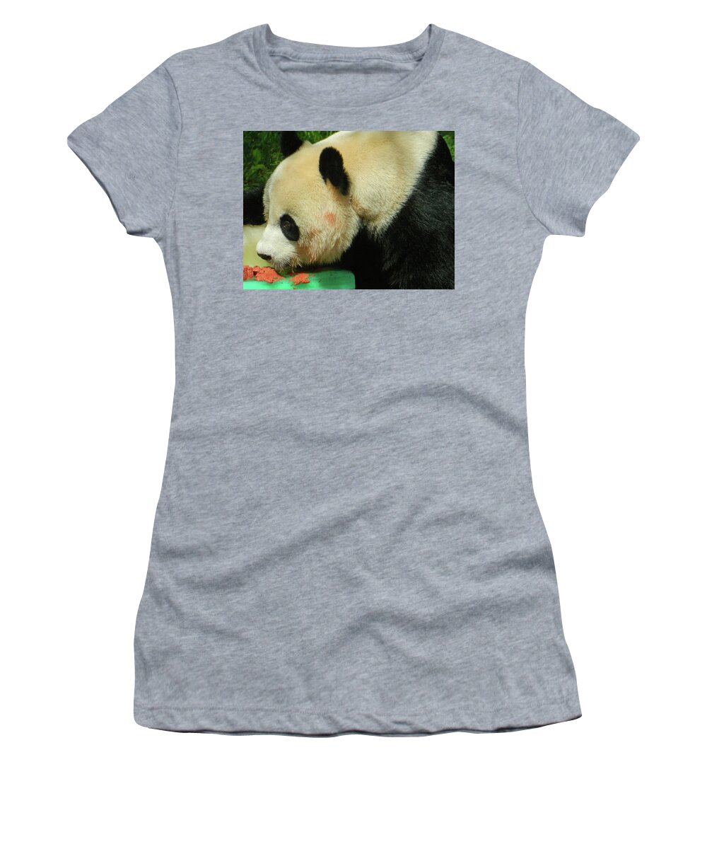 Mei Xiang Loves Frozen Birthday Cake Women's T-Shirt featuring the photograph Mei Xiang Loves Frozen Birthday Cake by Emmy Vickers