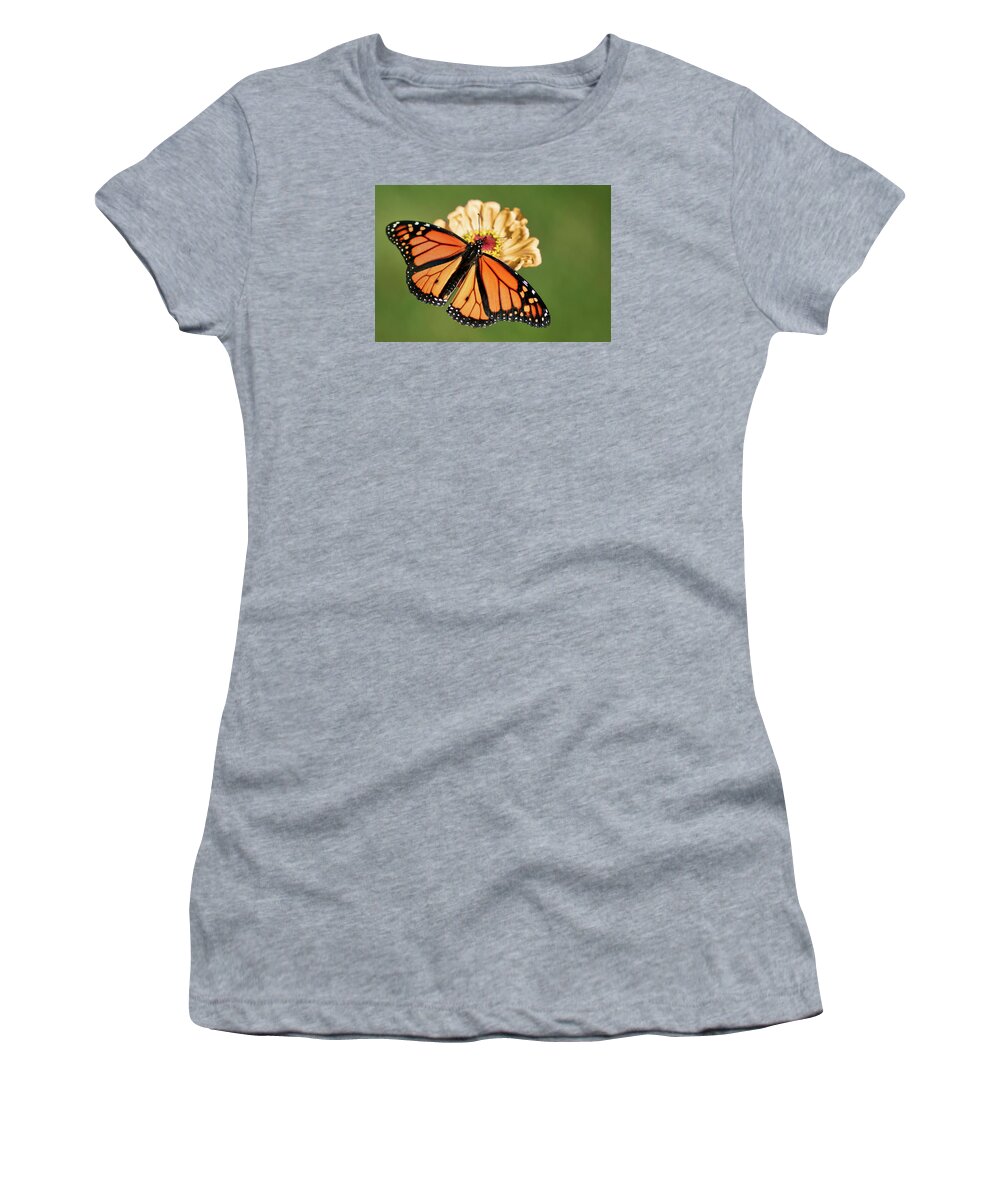 Butterfly Women's T-Shirt featuring the photograph Migrant Worker by Nikolyn McDonald