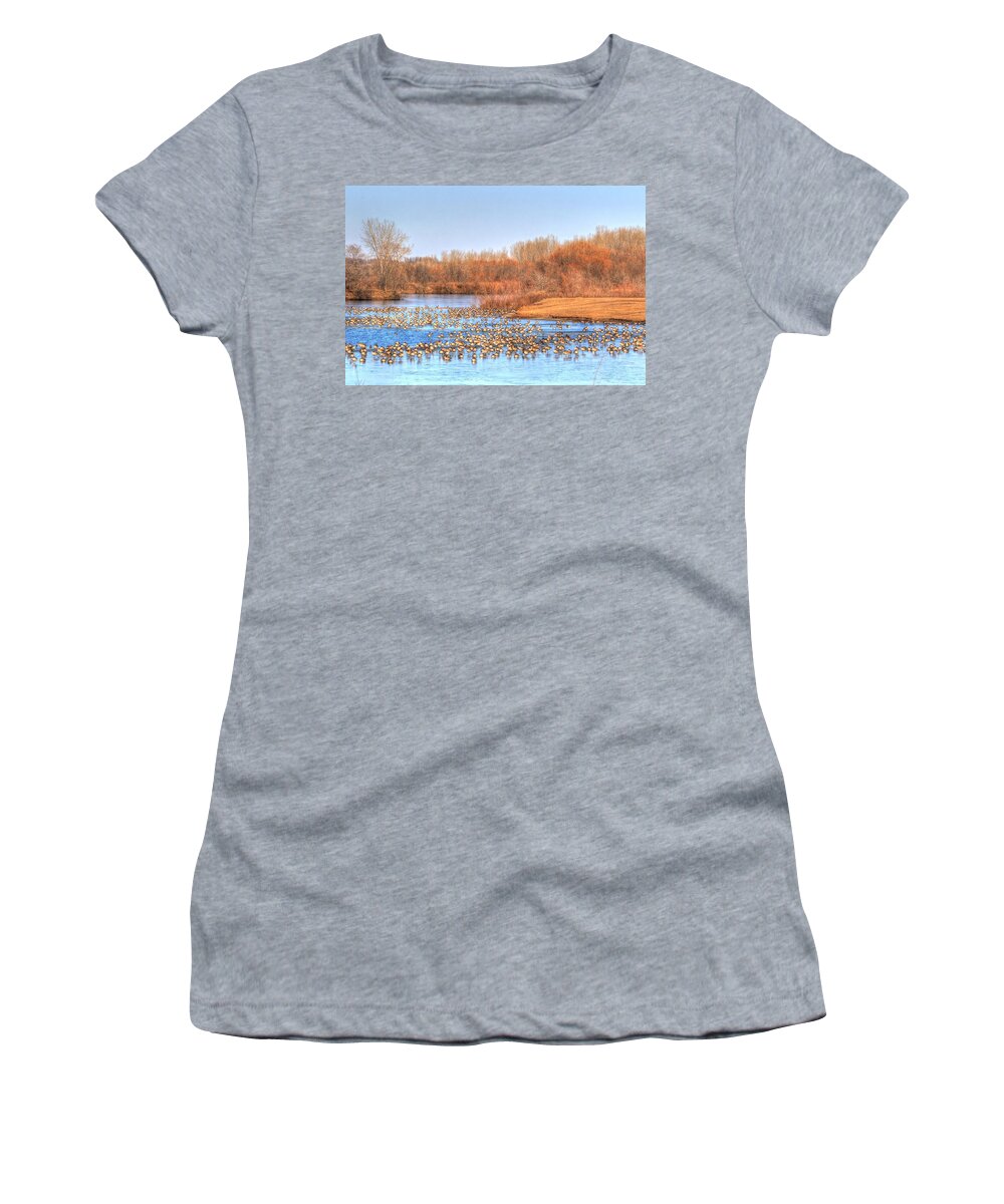 Canadian Geese Women's T-Shirt featuring the photograph Migration Break On Ice by J Laughlin