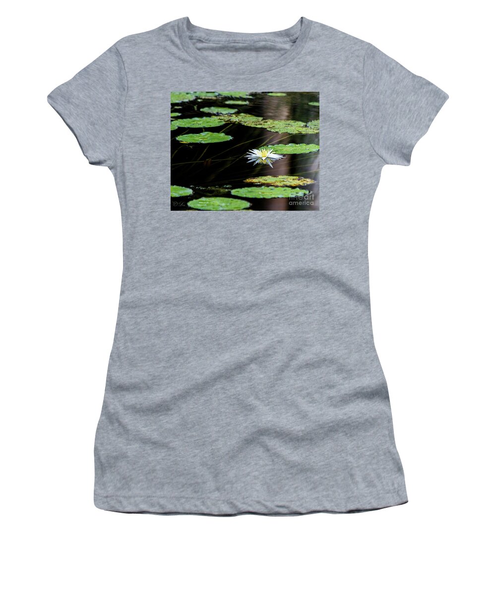 Lily Women's T-Shirt featuring the photograph Mirror Lily by Les Greenwood