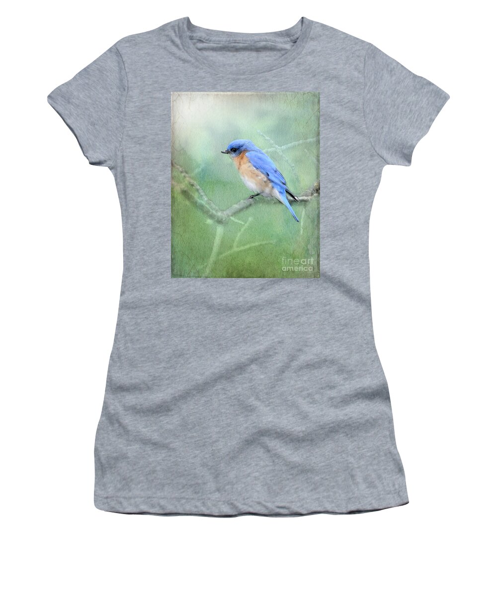 Eastern Bluebird Women's T-Shirt featuring the photograph Misty Blue by Betty LaRue