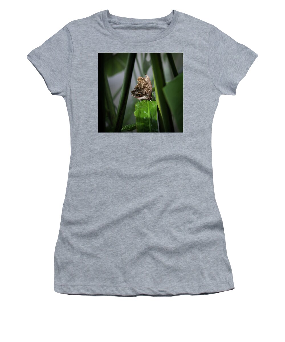 Owl Butterfly Women's T-Shirt featuring the photograph Misty Morning Owl by Karen Wiles
