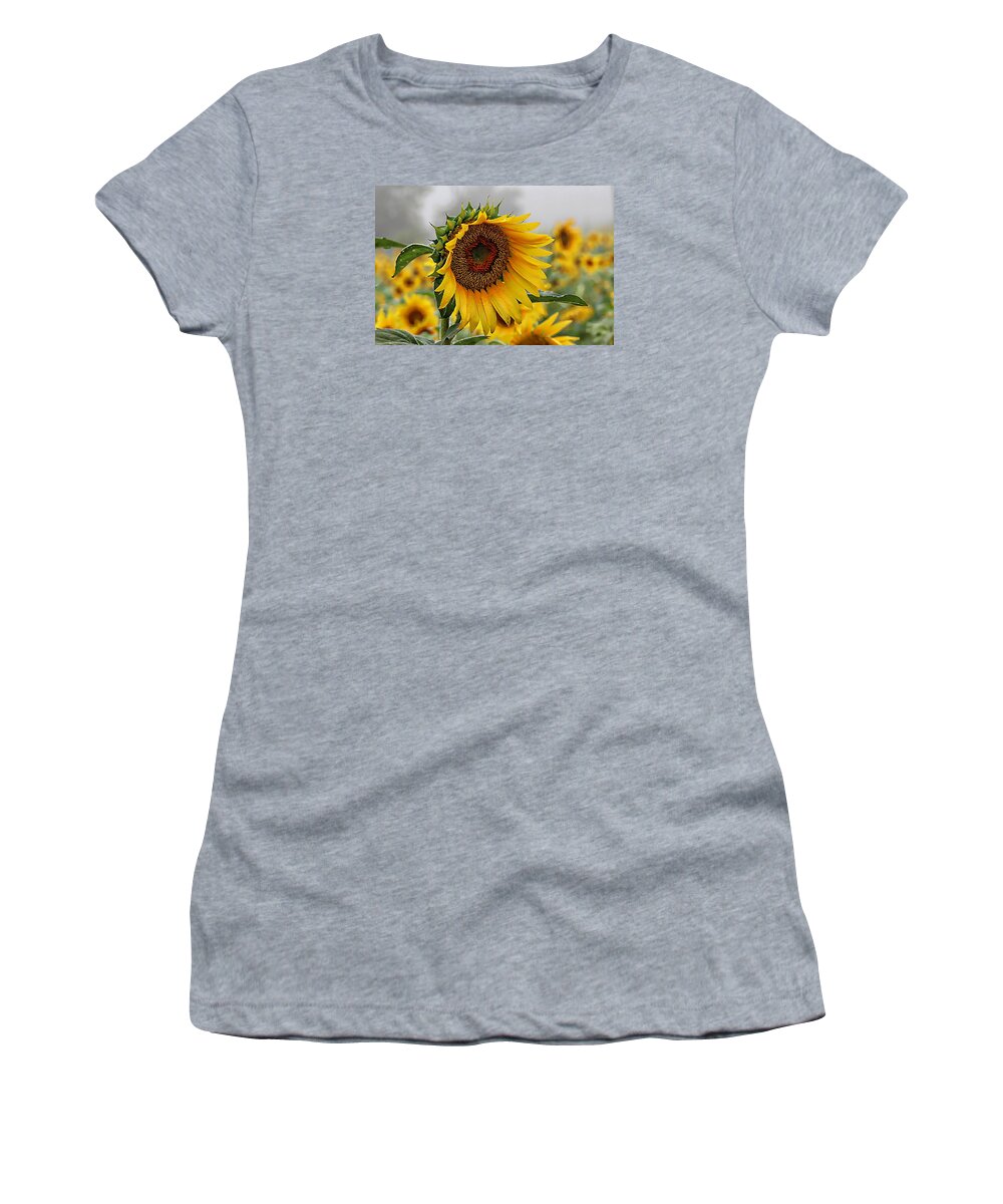 Sunflower Women's T-Shirt featuring the photograph Misty Morning Sunflower by Karen McKenzie McAdoo