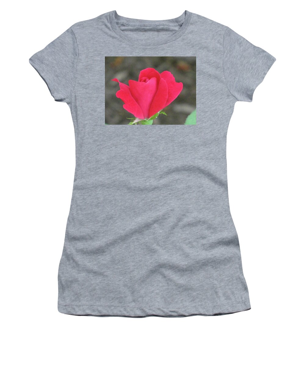 Red Rose Women's T-Shirt featuring the photograph Misty Red Rose by Michele Wilson