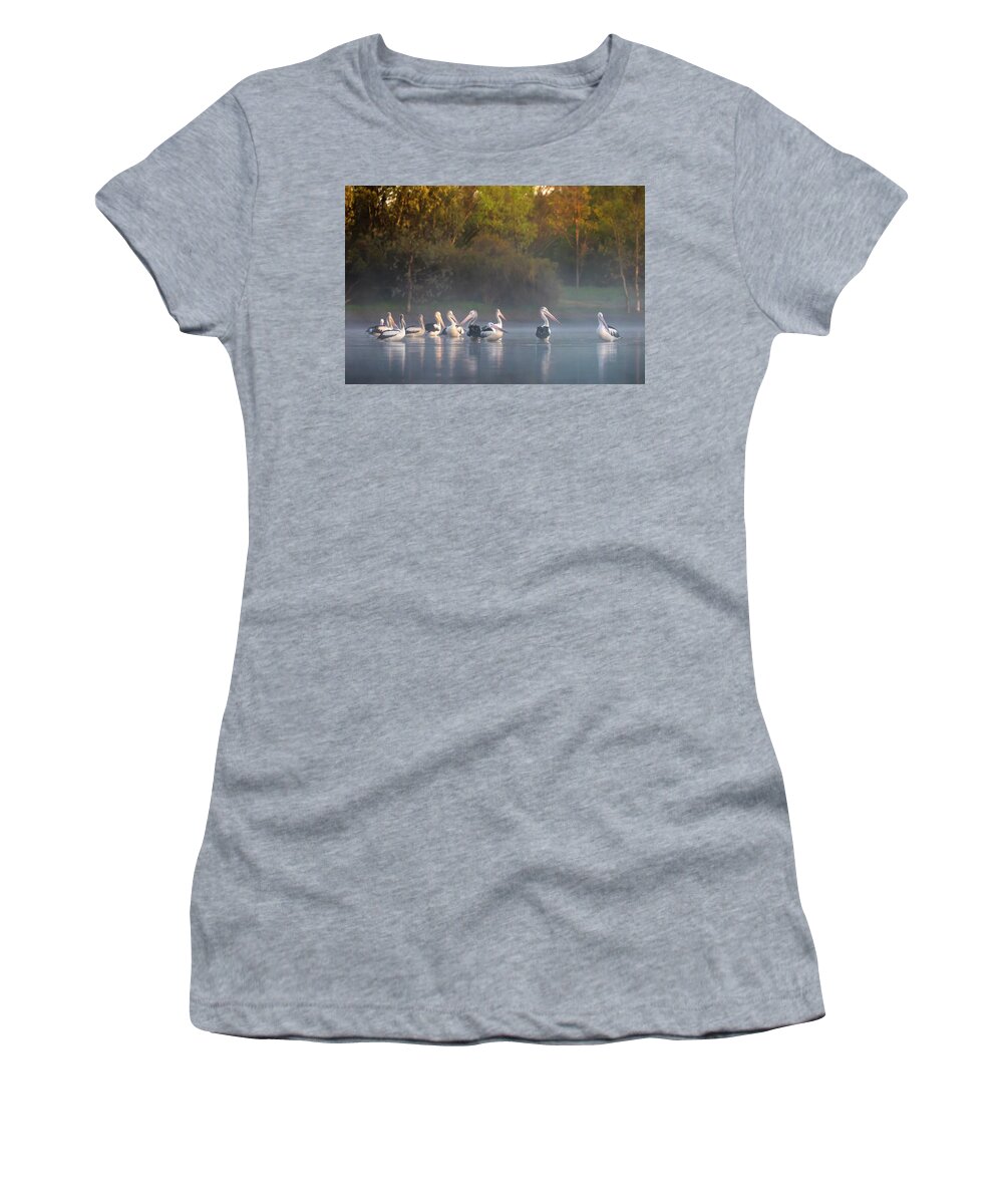 Pelicans Women's T-Shirt featuring the photograph Misty Sunrise by Diana Andersen