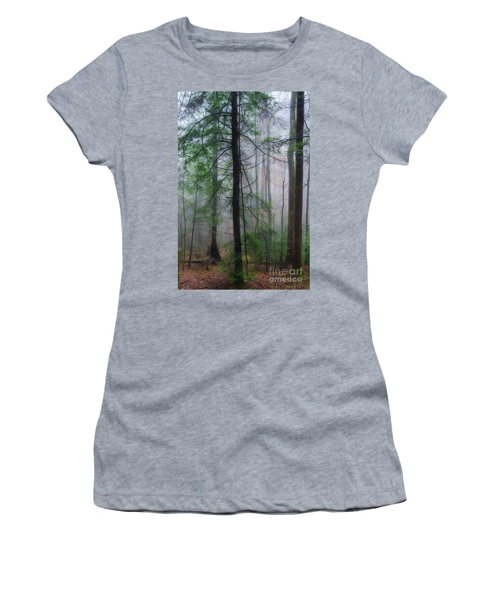 Fog Women's T-Shirt featuring the photograph Misty Winter Forest by Thomas R Fletcher