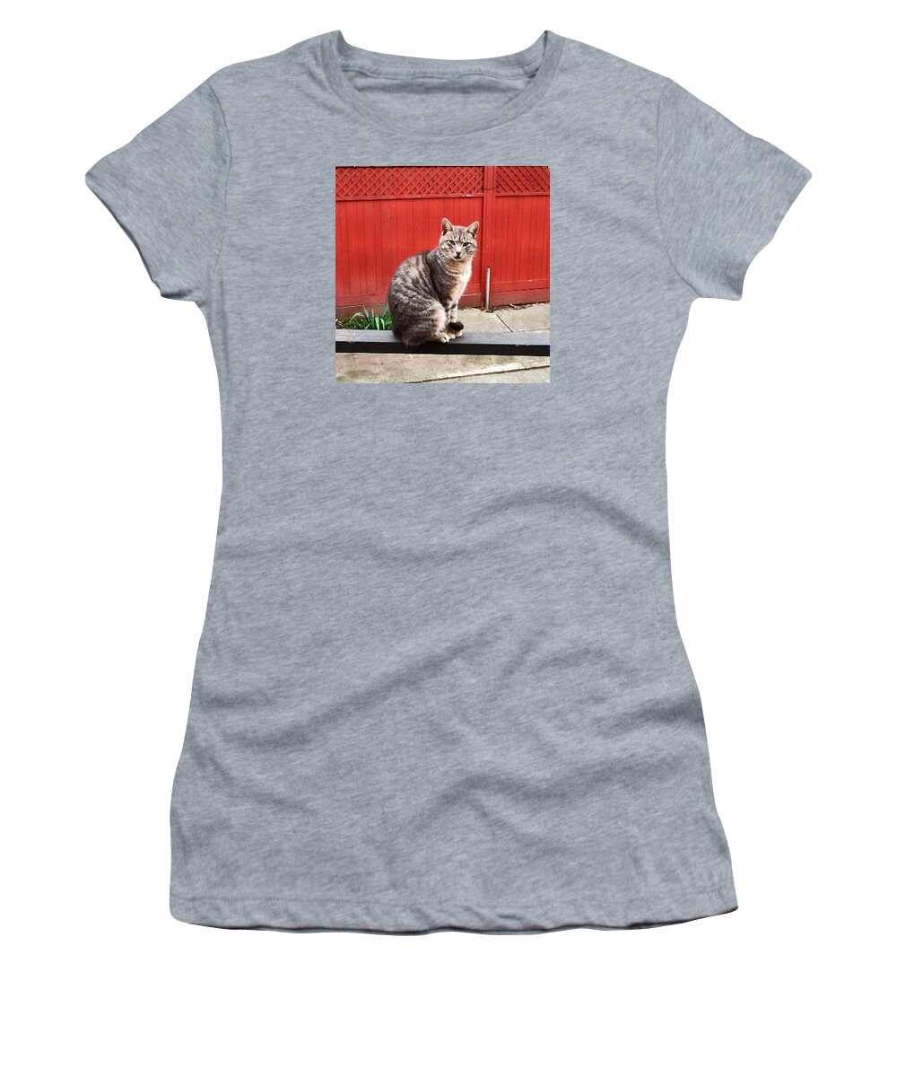 Animal Women's T-Shirt featuring the photograph Mitch The Boss Cat by Jay Milo