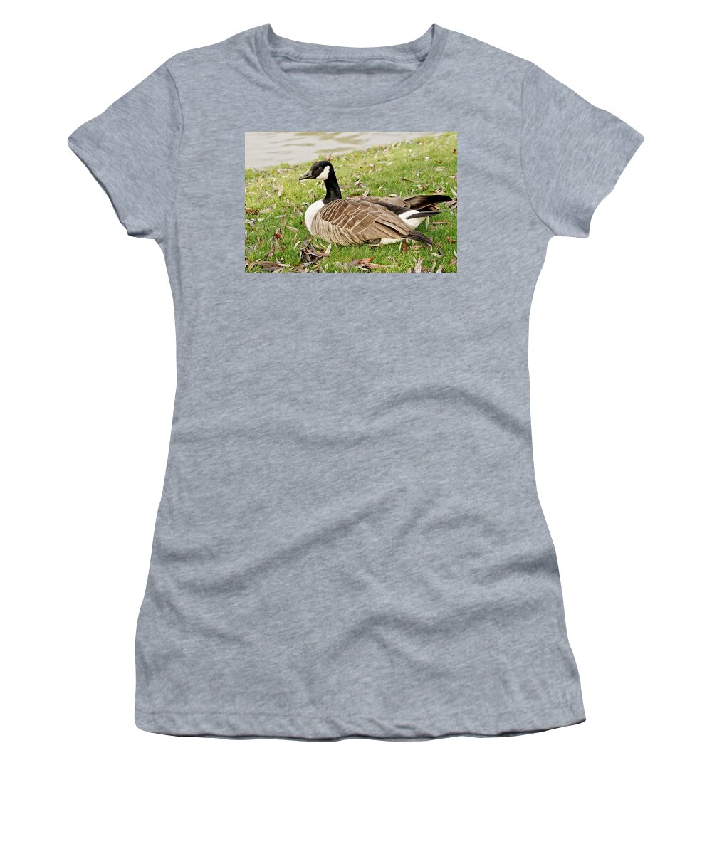 Goose Women's T-Shirt featuring the photograph Modest Beauty by Elena Perelman