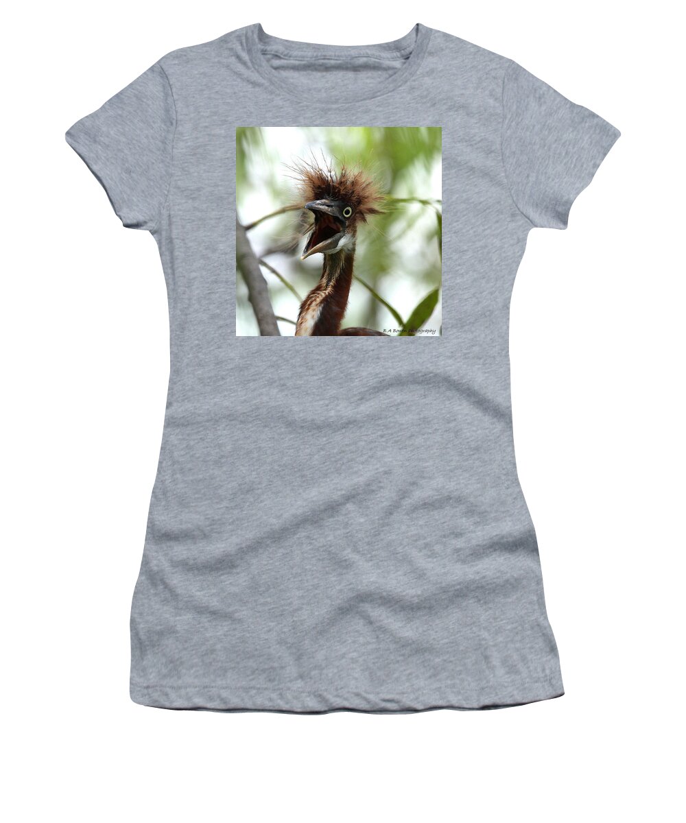 Immature Tri-colored Heron Women's T-Shirt featuring the photograph Momma I am HUNgry by Barbara Bowen
