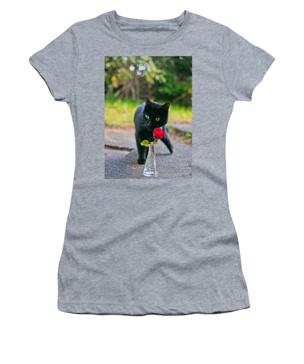 Cat Women's T-Shirt featuring the photograph Momo messing by Alex Art