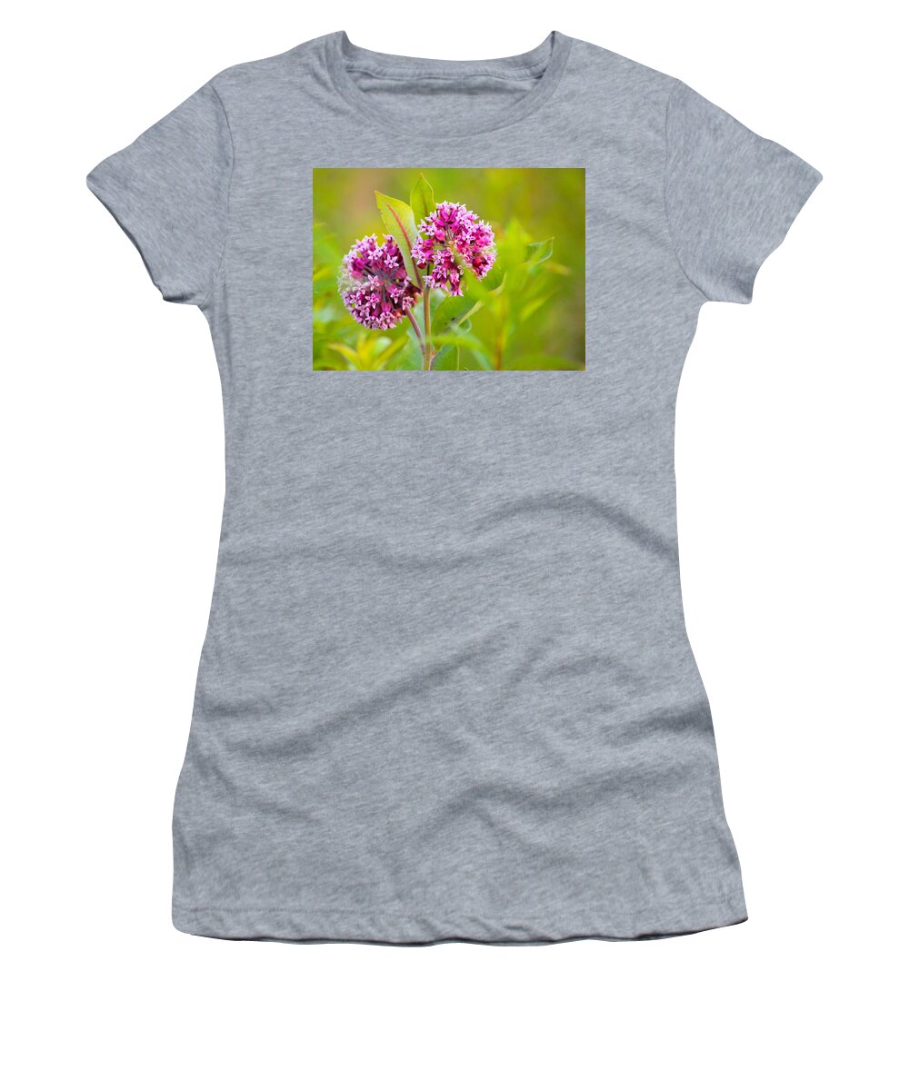 Monarch Women's T-Shirt featuring the photograph Monarch Food by Bonfire Photography