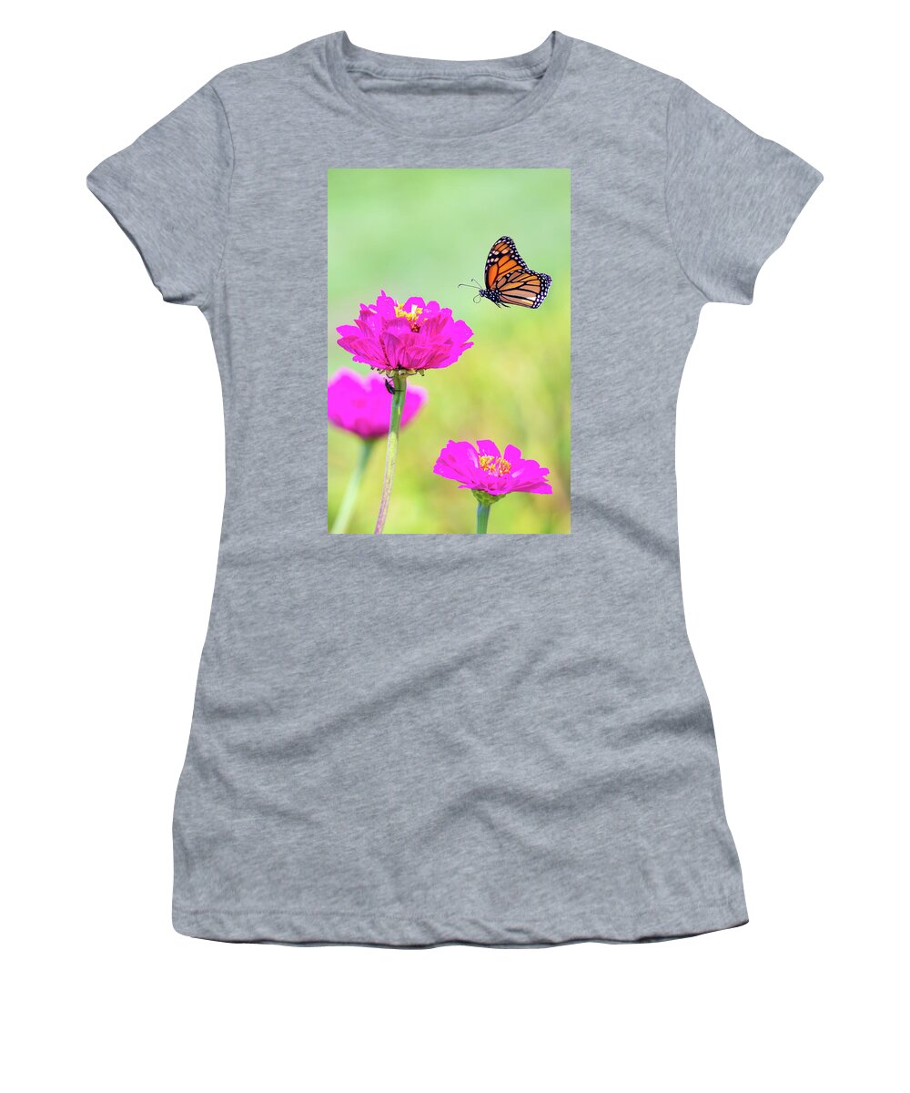 Butterfly Flying Flight Mid-air Mid Air Monarch Inset Butterflies Flowers Garden Botany Botanical Outside Outdoors Nature Natural Brian Hale Brianhalephoto Ma Mass Massachusetts Newengland New England U.s.a. Usa Women's T-Shirt featuring the photograph Monarch in Flight 1 by Brian Hale