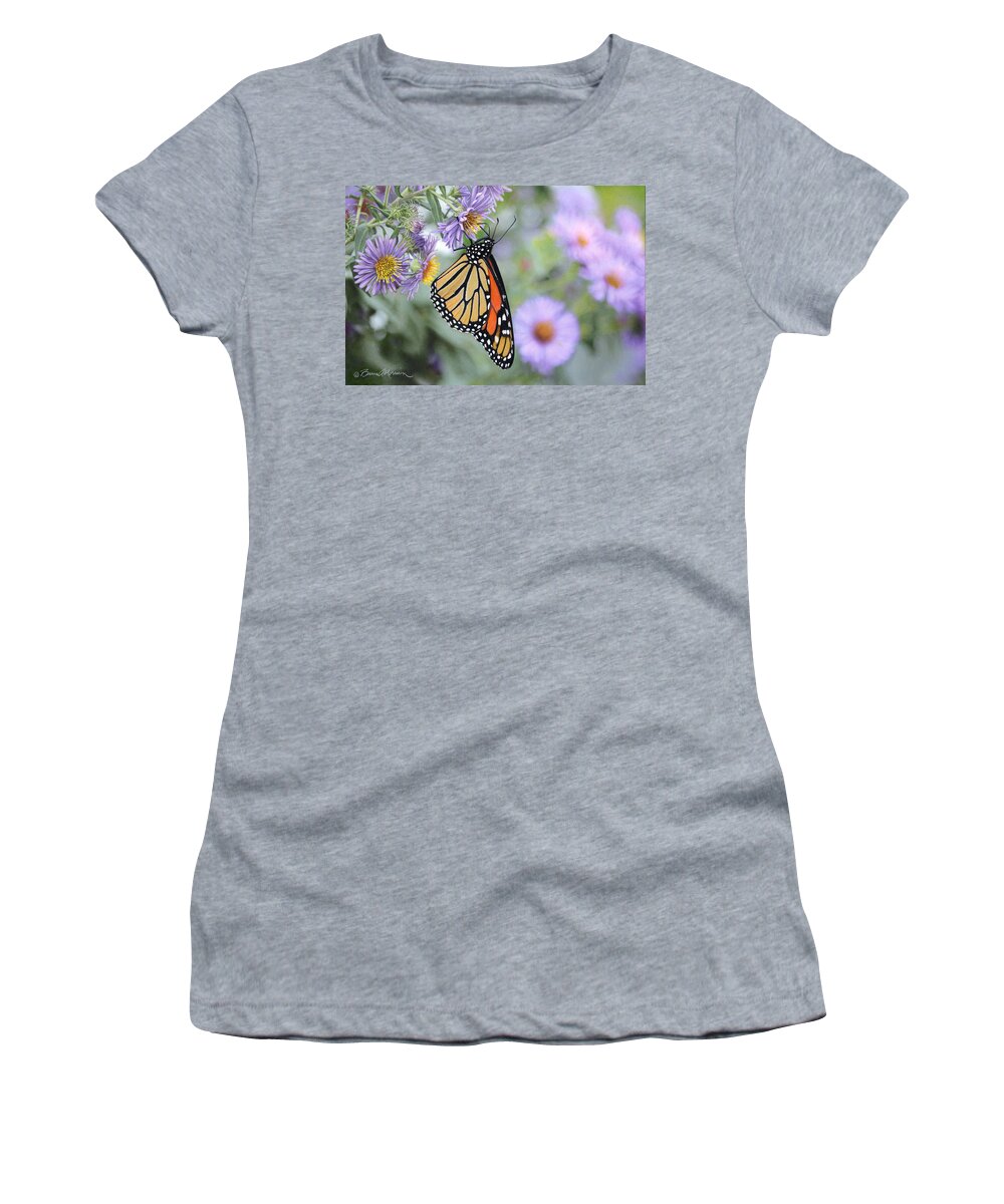 Insects Women's T-Shirt featuring the drawing Monarch on New England Aster by Bruce Morrison