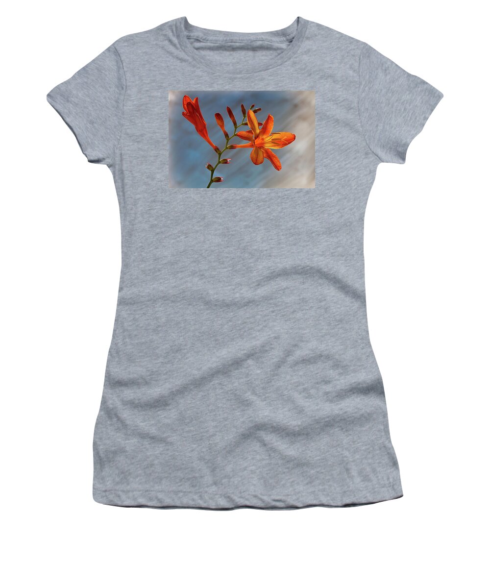 Floral Women's T-Shirt featuring the photograph Montbretia 2 by Shirley Mitchell