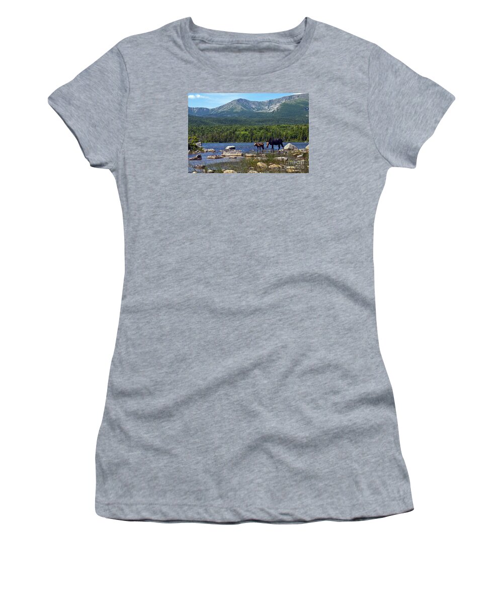 Maine Women's T-Shirt featuring the photograph Moose Baxter State Park Maine 2 by Glenn Gordon