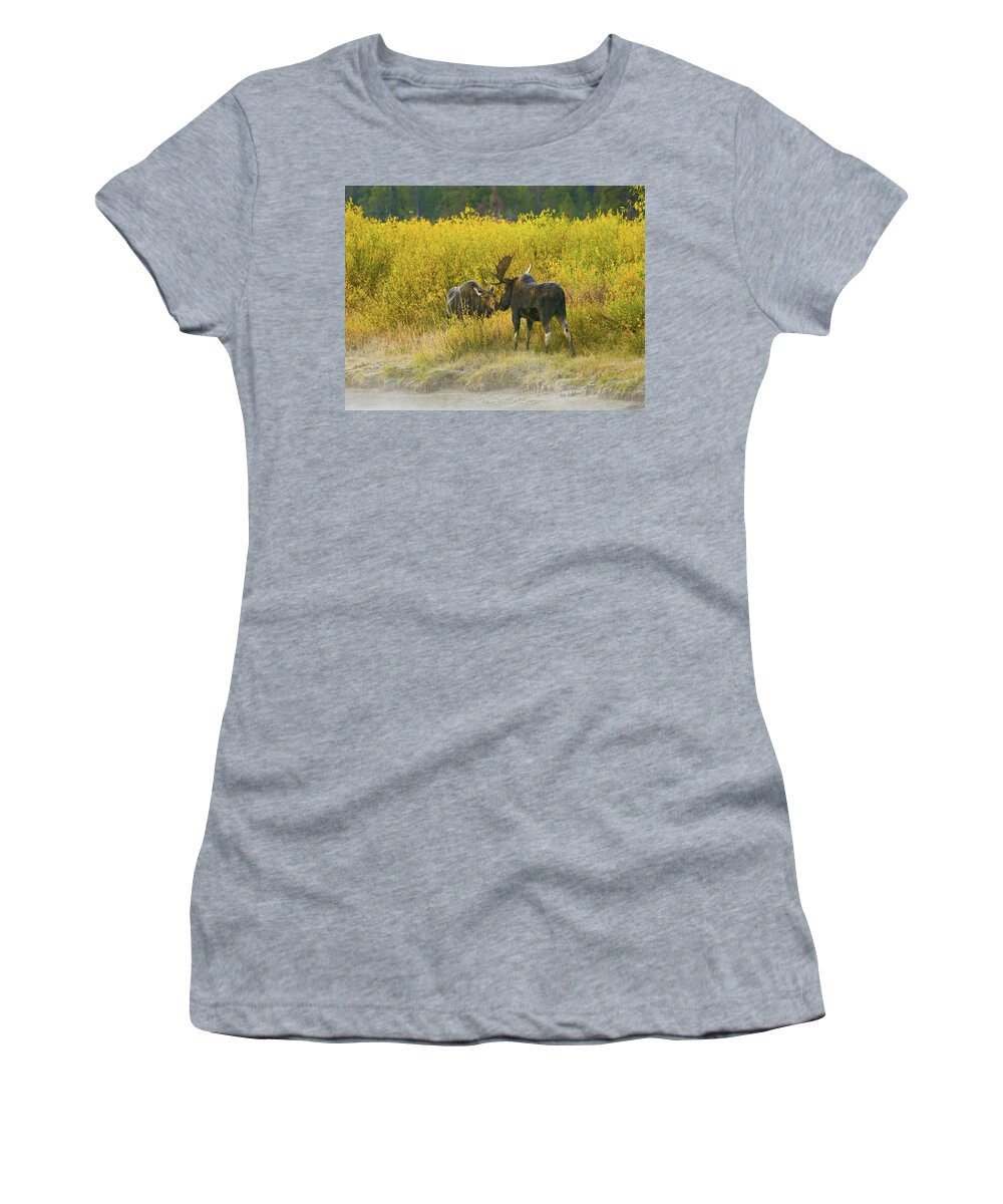 Moose Women's T-Shirt featuring the photograph Moose Couple by Wesley Aston