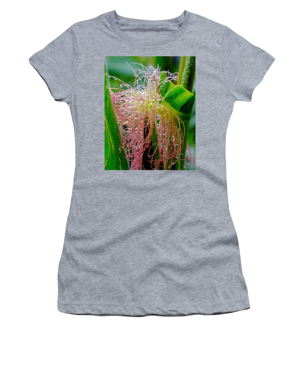 Flowers Women's T-Shirt featuring the photograph Morning Dew on the Corn by Roberta Kayne
