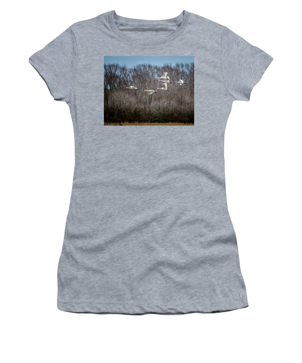 Nature Women's T-Shirt featuring the photograph Morning Flight of Tundra Swan by Donald Brown