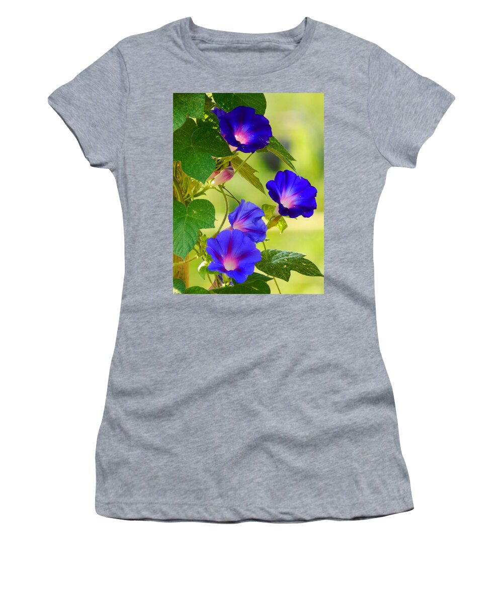 Morning Women's T-Shirt featuring the photograph Morning Glories In Bloom by Virginia White
