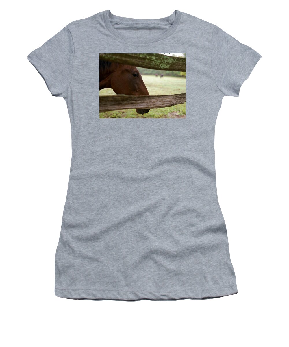 Horse Women's T-Shirt featuring the photograph Morning Greeting by Lara Morrison