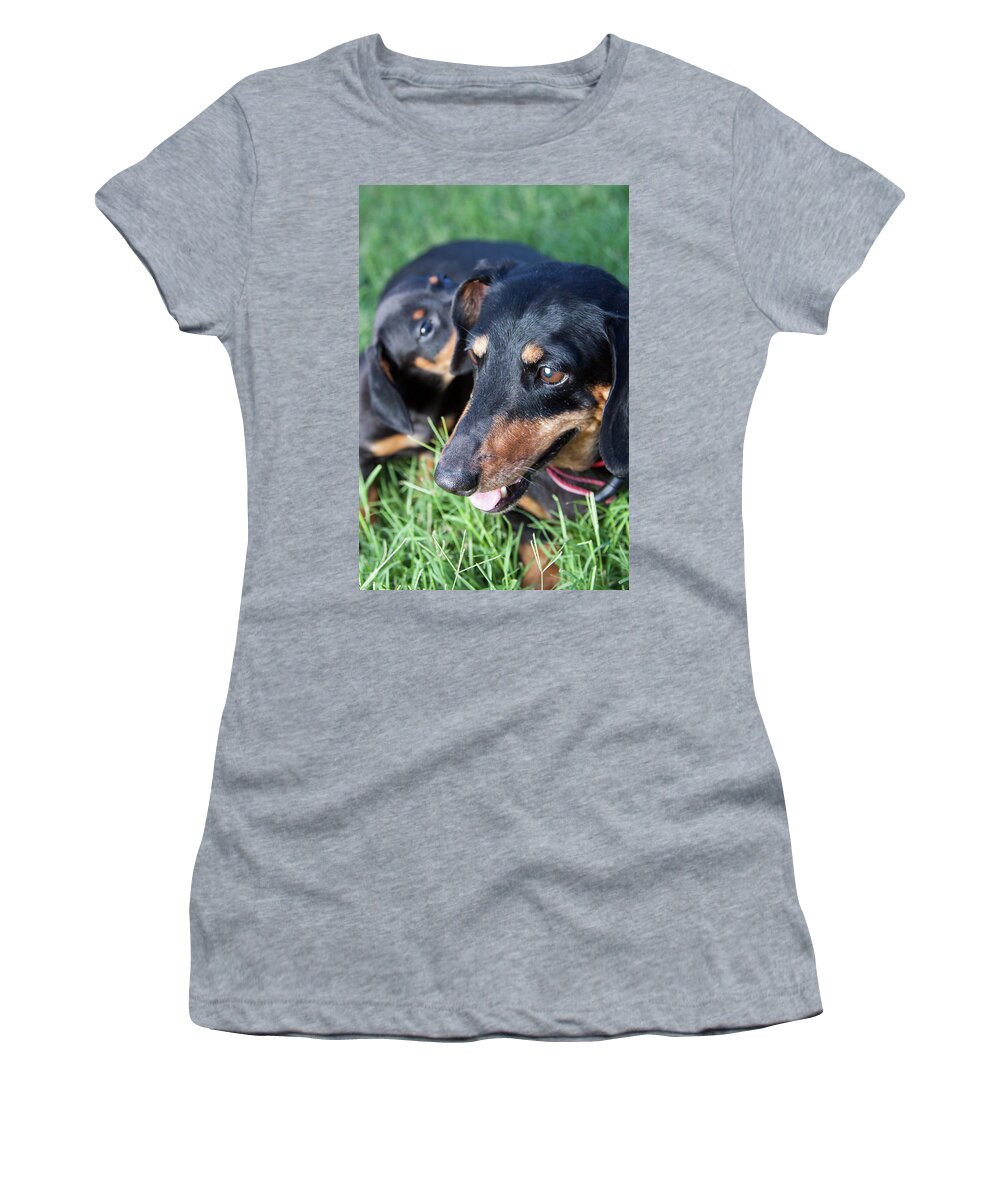 Bubbles Women's T-Shirt featuring the photograph Mother Dachshund and Puppy by SR Green