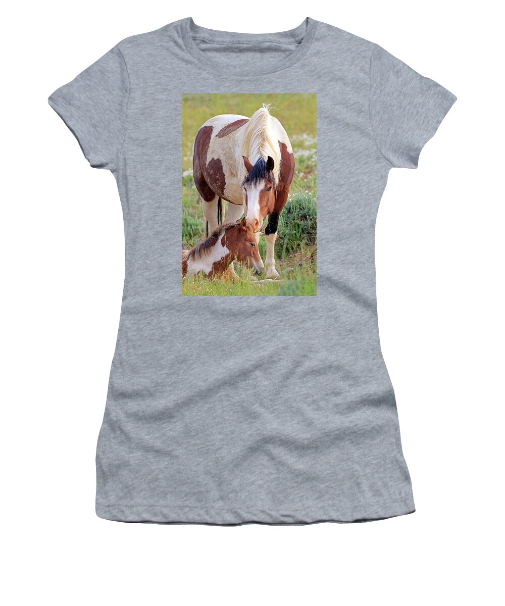 Mustangs Women's T-Shirt featuring the photograph Mother's Love by Jack Bell