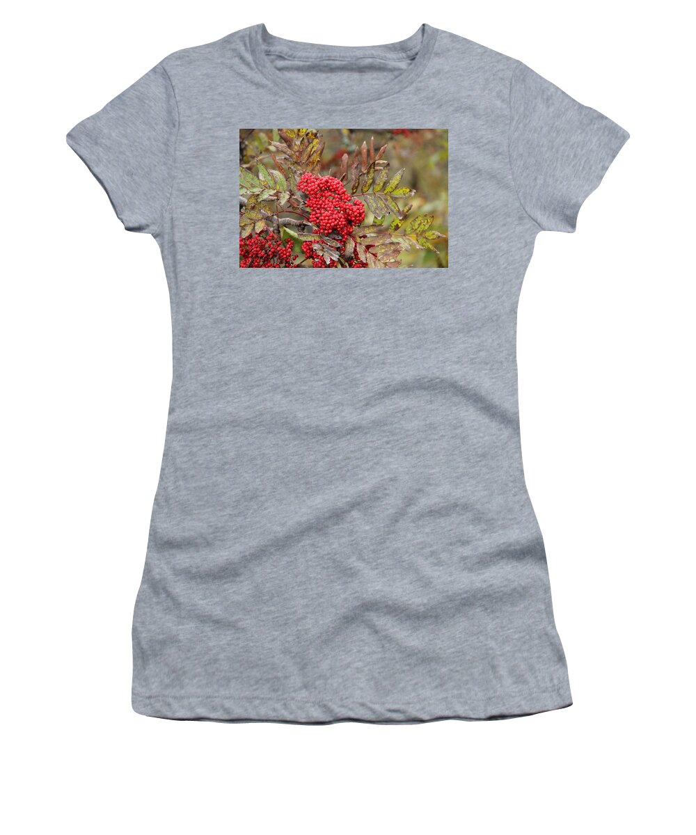 Mountain Ash Women's T-Shirt featuring the photograph Mountain Ash with Berries by Allen Nice-Webb
