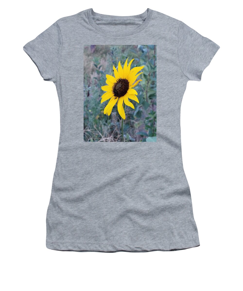 Beautiful Women's T-Shirt featuring the photograph Mountain Daisy by Rob Hans