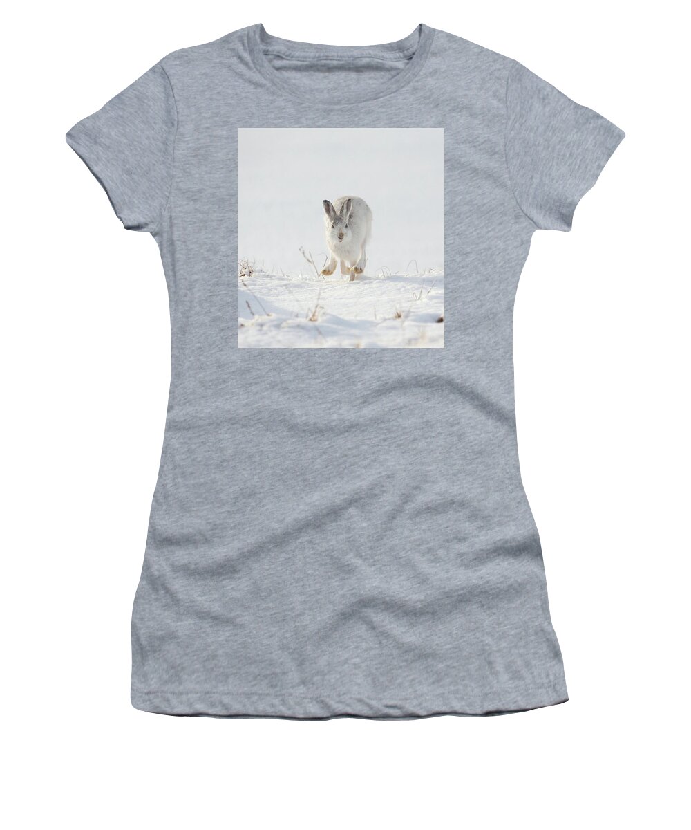 Mountain Women's T-Shirt featuring the photograph Mountain Hare Approaching by Pete Walkden