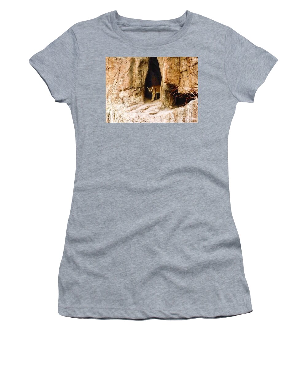 Arizona Women's T-Shirt featuring the photograph Mountain Lion in the Desert by Judy Kennedy