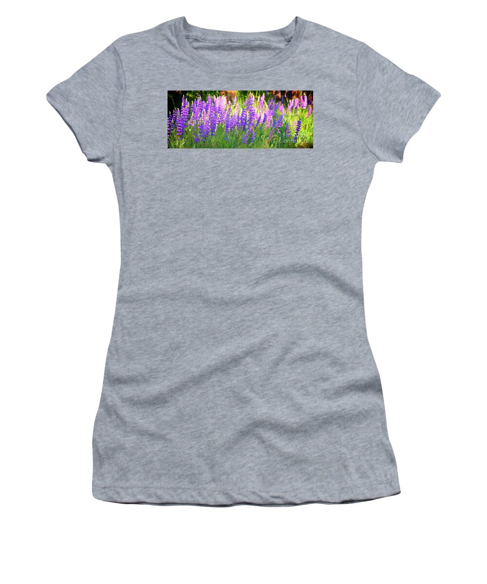 Wildflowers Women's T-Shirt featuring the photograph Mountain Lupines Wide by Gus McCrea