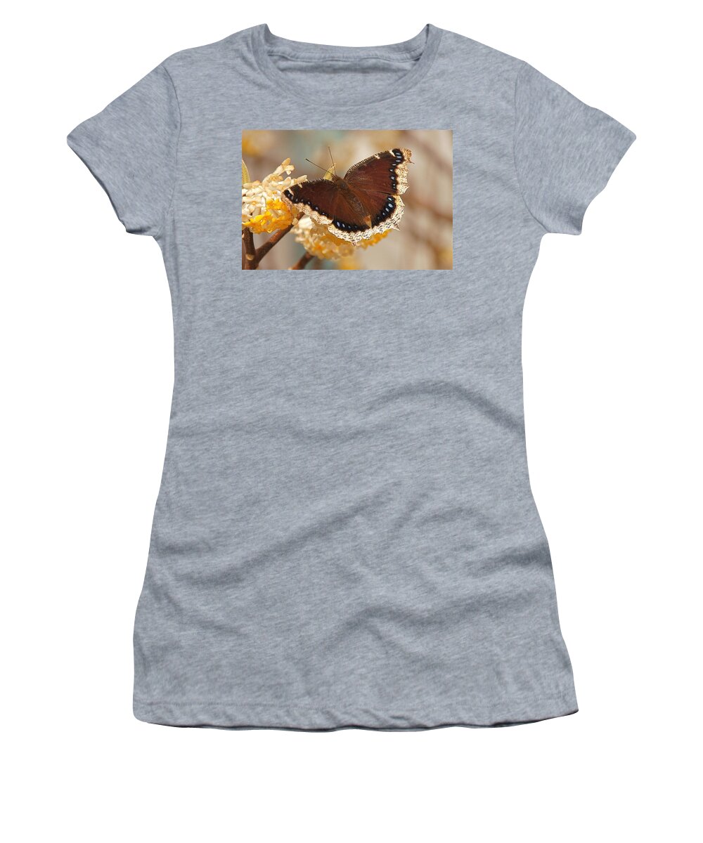 Mourning Cloak Butterfly Women's T-Shirt featuring the photograph Mourning Cloak Butterfly by Byron Varvarigos