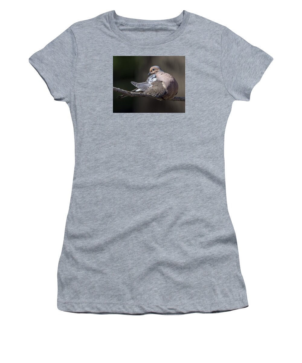 Wildlife Women's T-Shirt featuring the photograph Mourning dove profile by William Bitman
