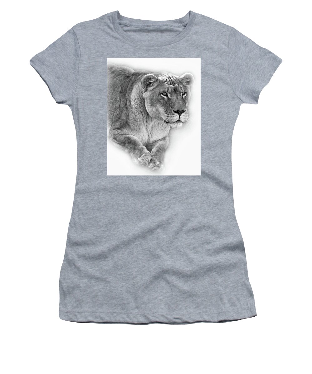 Lion Women's T-Shirt featuring the photograph Moving In - Vignette bw by Steve Harrington