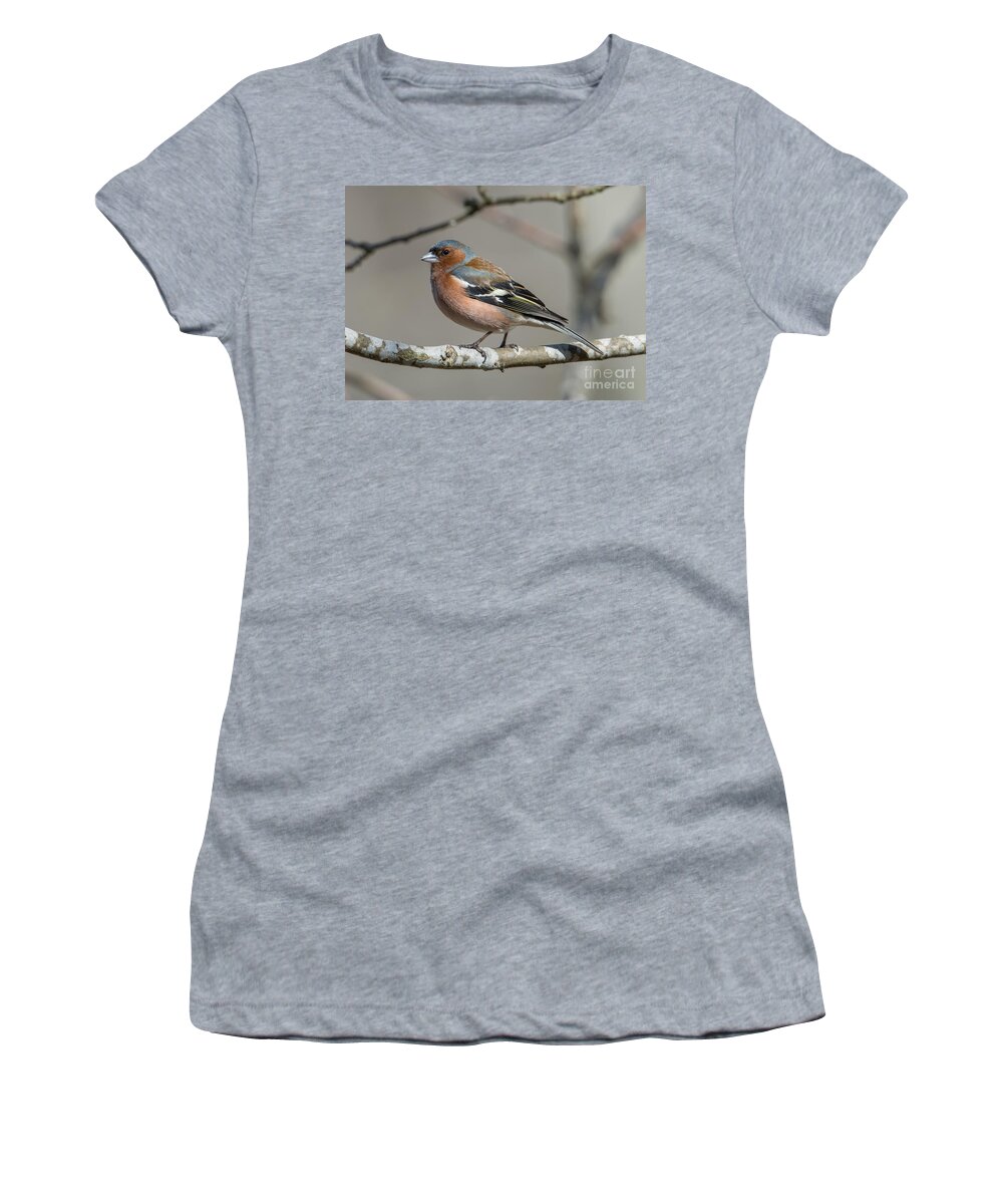 Mr Chaffinch Women's T-Shirt featuring the photograph Mr Chaffinch by Torbjorn Swenelius