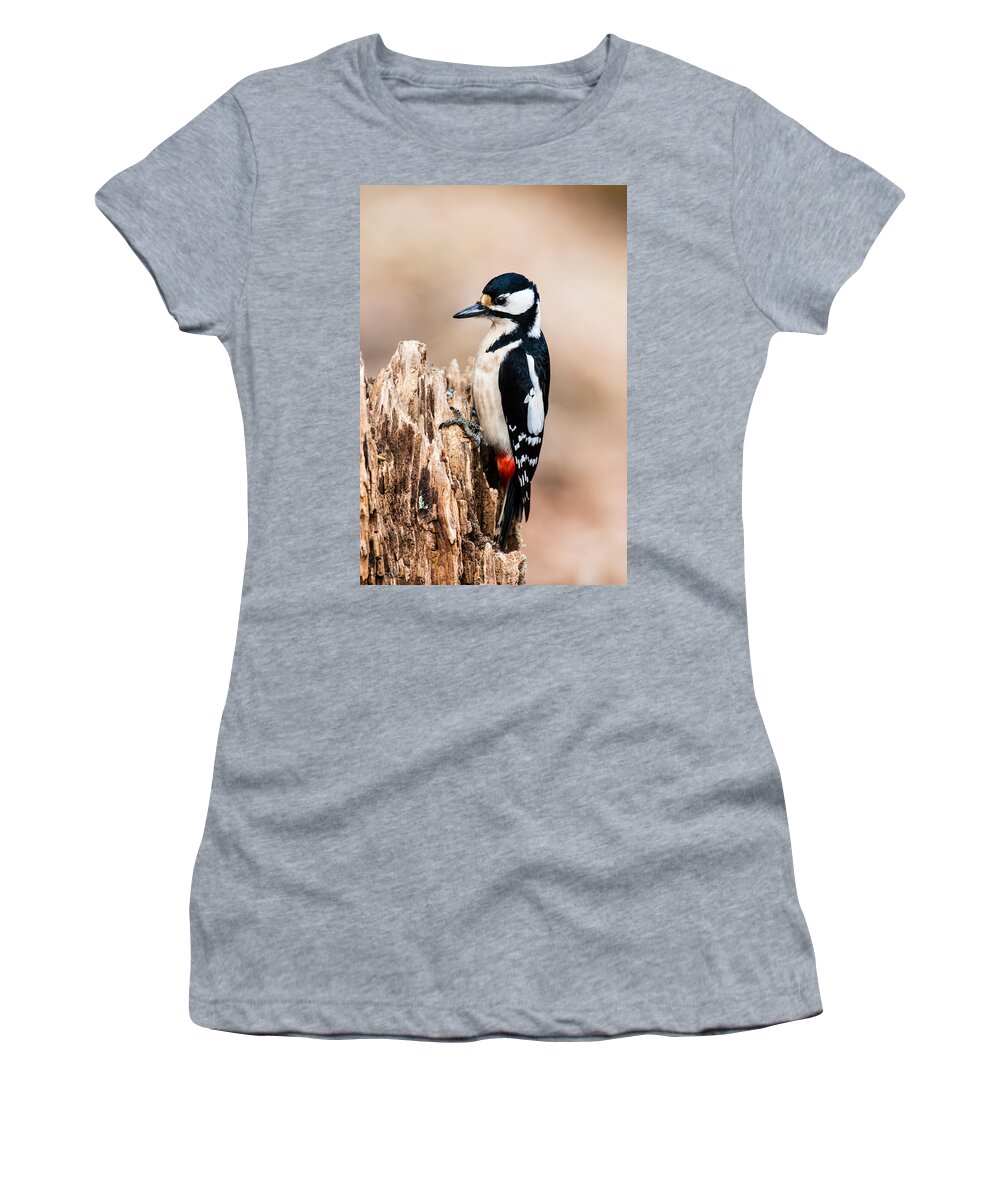 Mrs Woodpecker Women's T-Shirt featuring the photograph Mrs Woodpecker by Torbjorn Swenelius