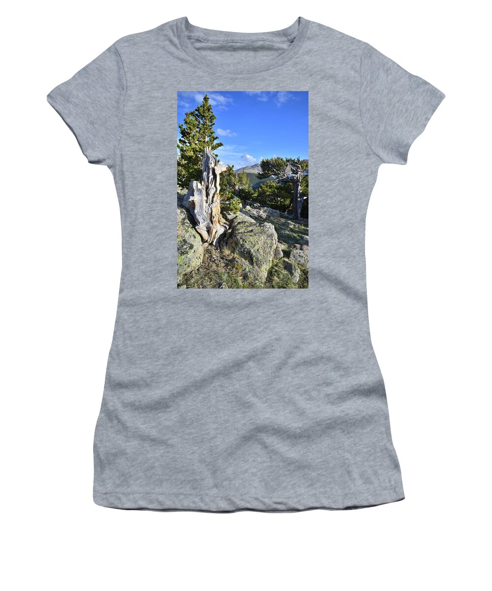 Mount Goliath Natural Area Women's T-Shirt featuring the photograph Mt. Evans Bristlecones by Ray Mathis