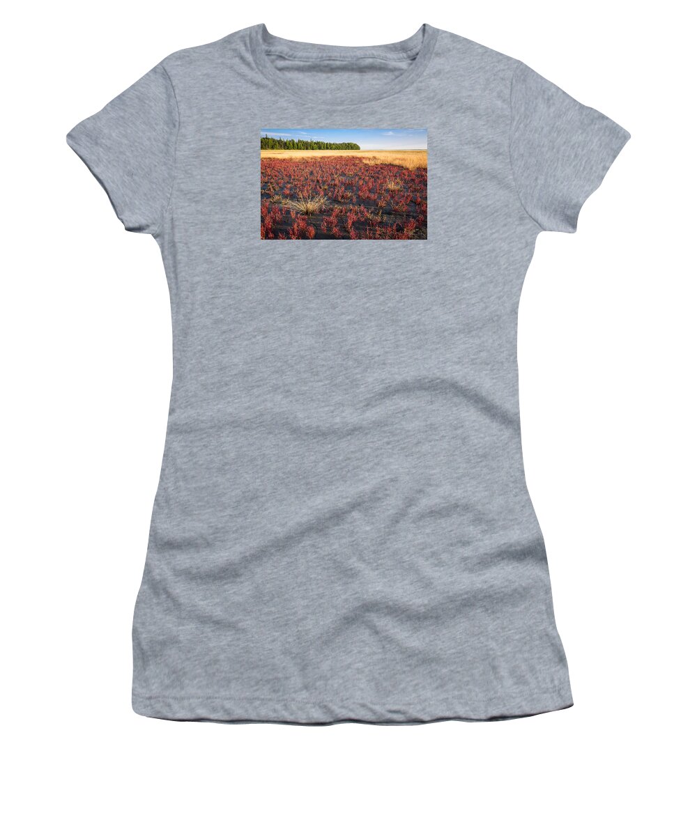 Salicornia Virginica Women's T-Shirt featuring the photograph Mudflat Garden by Tim Newton
